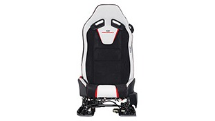 MUSTANG FORD PERFORMANCE LOGO RECARO SEAT SET